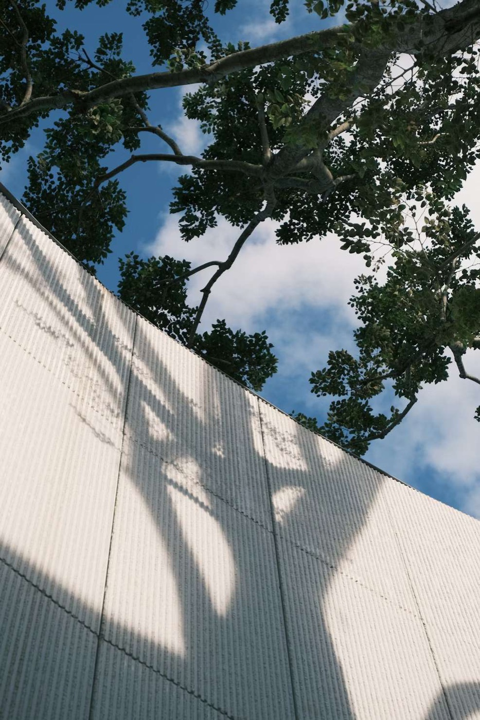 A cream wall opening up into a tree canopy and sky